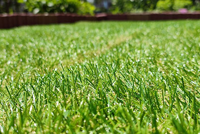 繊維の種類と形状