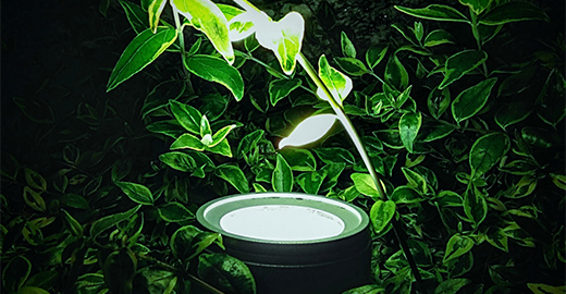 ガーデンライトの設置