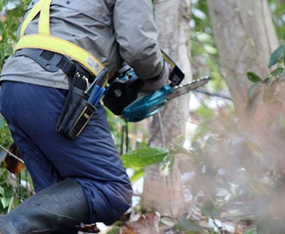 依頼までの流れ・よくある質問